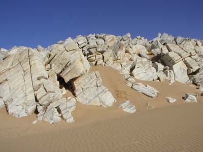 256P9160340