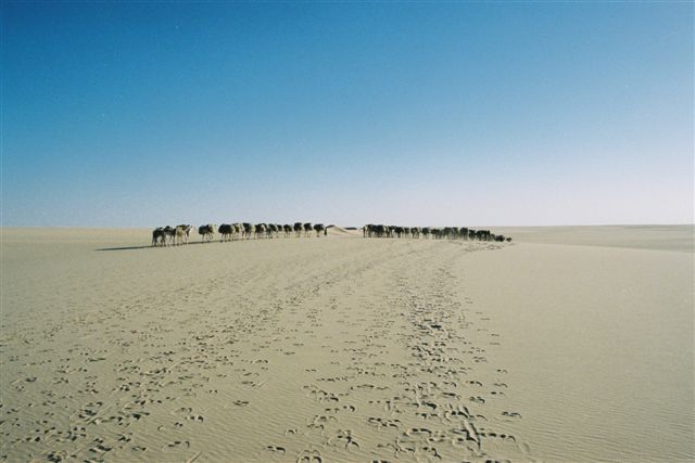 Jean-Simonin-20012