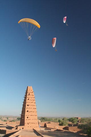 z10-Olivier-Symoens-450
